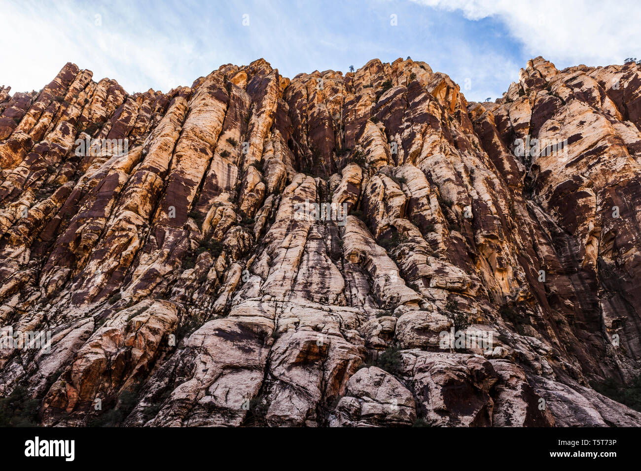 Guardando le pareti di pietra arenaria di ghiacciaia Canyon, il Red Rock Canyon Area di Conservazione, Nevada, STATI UNITI D'AMERICA Foto Stock