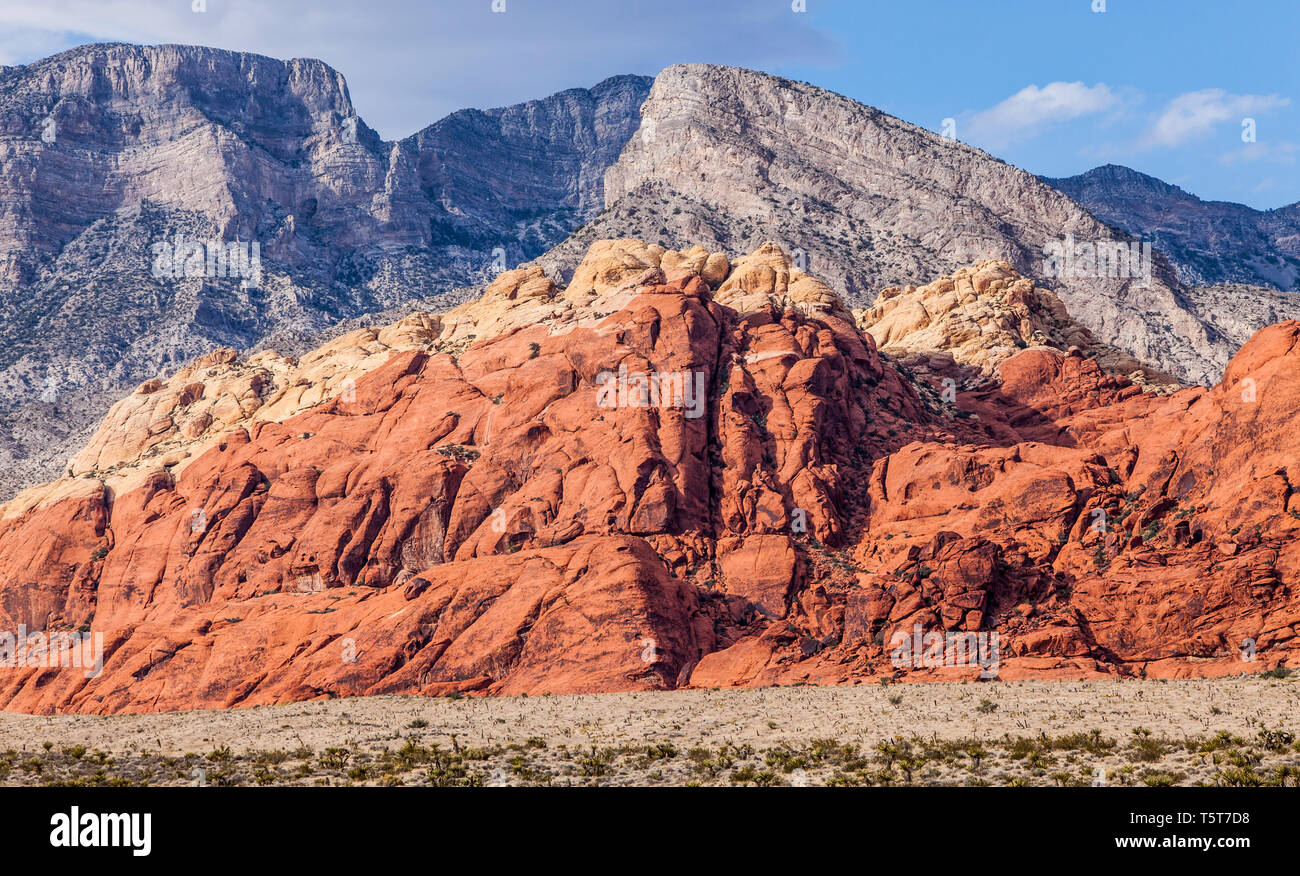 La Madre Mountain, Turtlehead Mountain e il calicò colline, il Red Rock Canyon Area di Conservazione, Nevada, STATI UNITI D'AMERICA Foto Stock