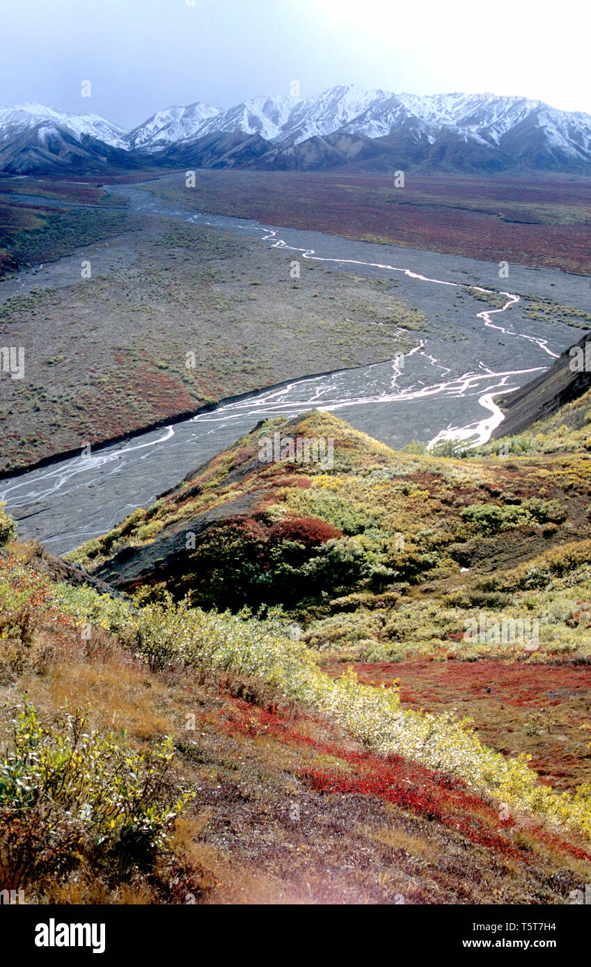 Fiume Toklat in inizio di caduta nel Parco Nazionale di Denali Foto Stock