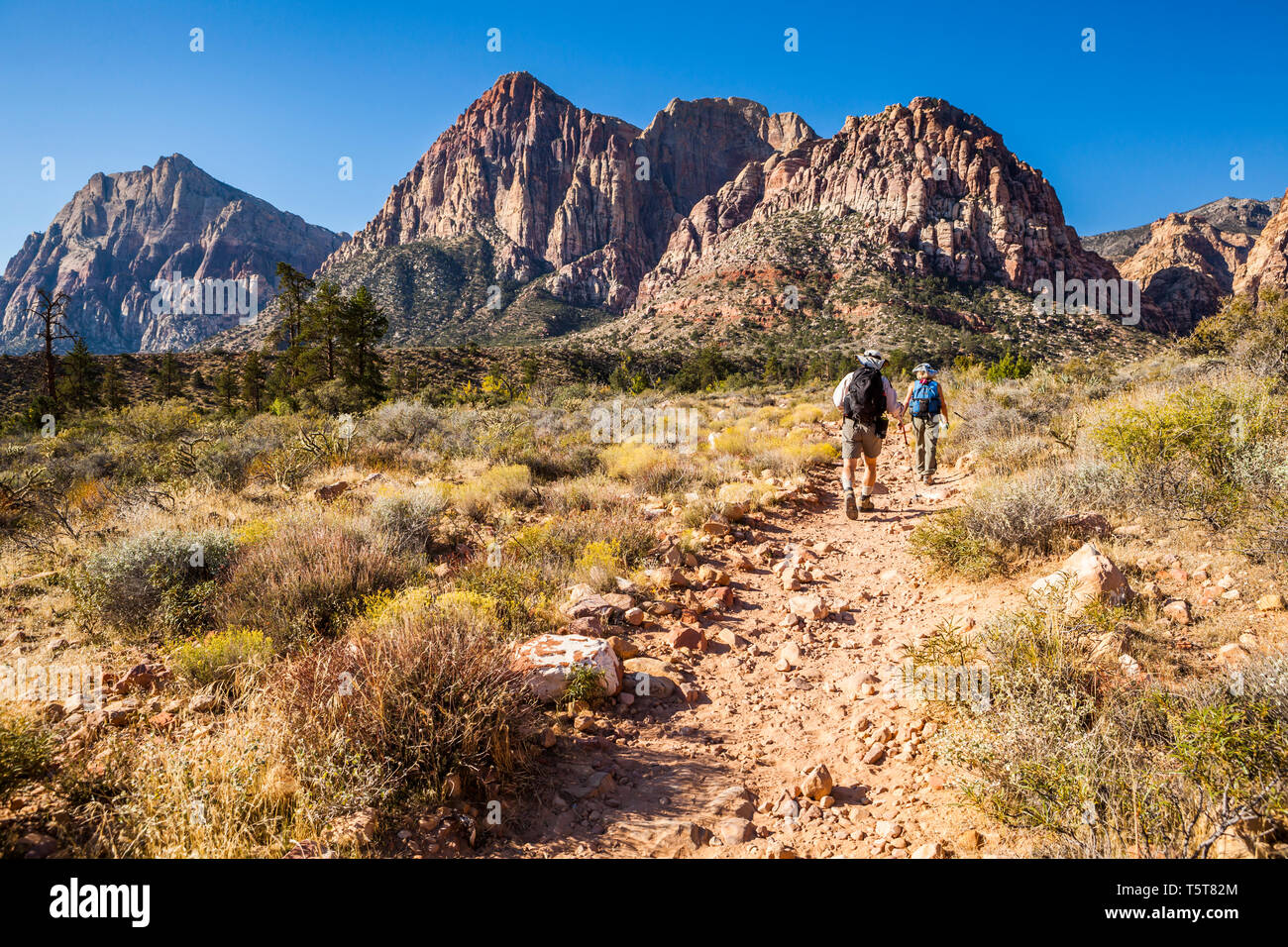 Un paio di escursioni verso il Canyon di pino in rocce rosse Canyon National Conservation Area appena al di fuori di Las Vegas, Nevada. Foto Stock