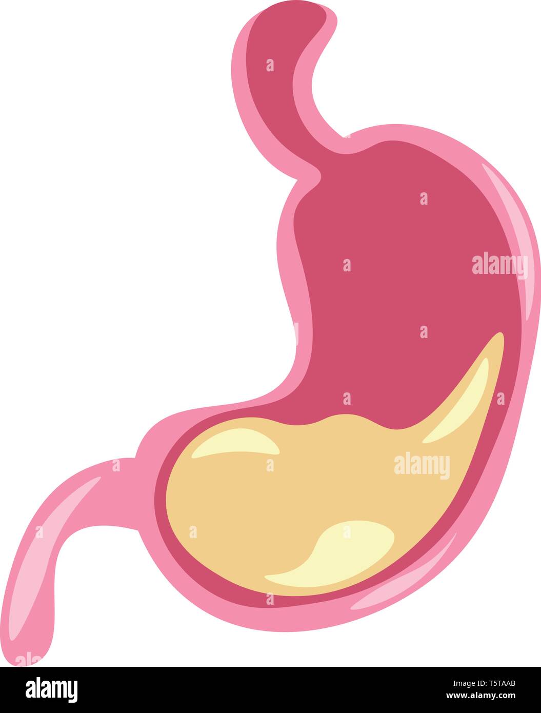 Clipart di organo interno dello stomaco con cibo all'interno del vettore di disegno a colori o illustrazione Illustrazione Vettoriale