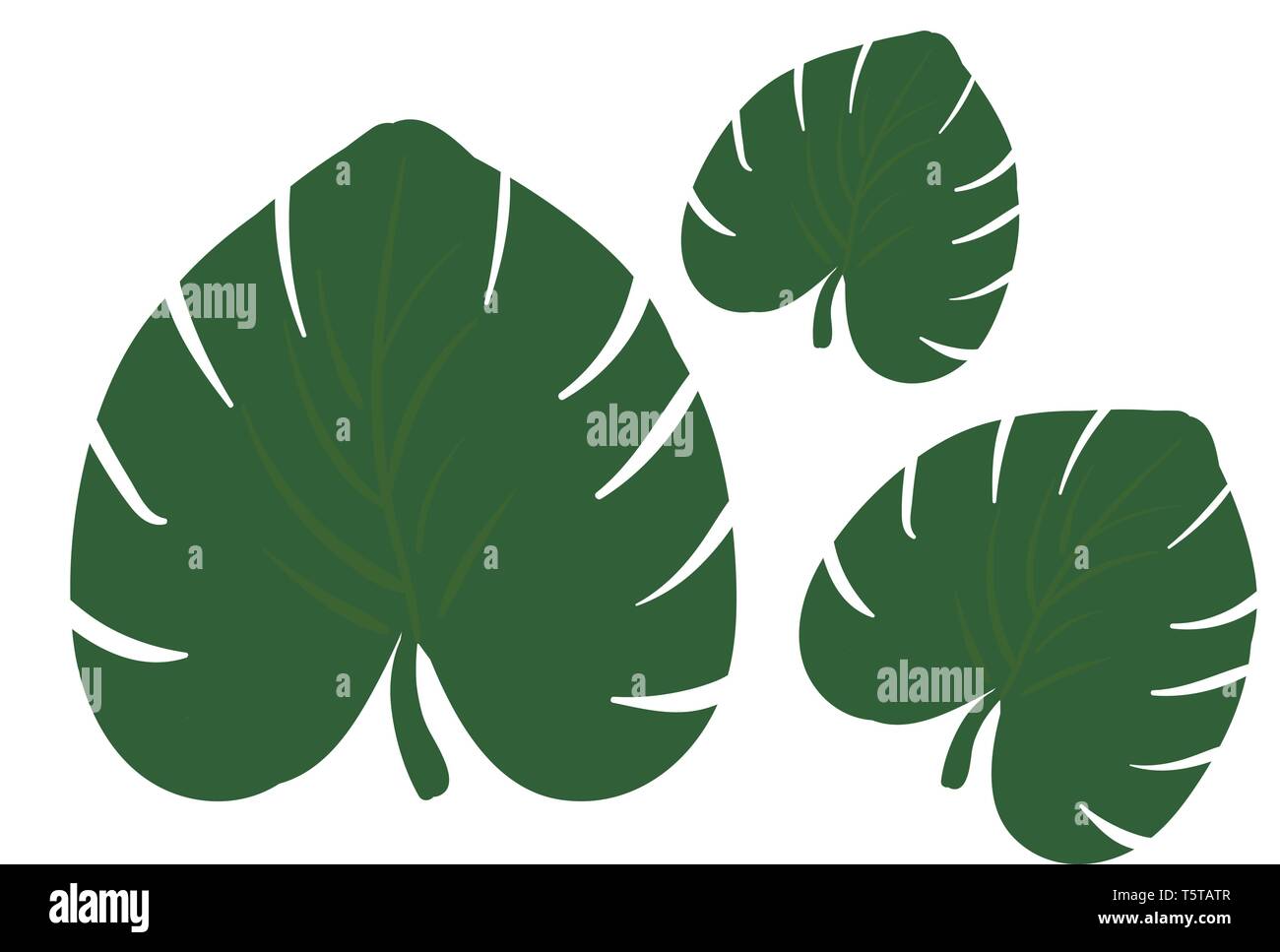 Palm a forma di foglie con punti spiked verso una estremità e le porzioni estese vicino al picciolo vettore di disegno a colori o illustrazione Illustrazione Vettoriale