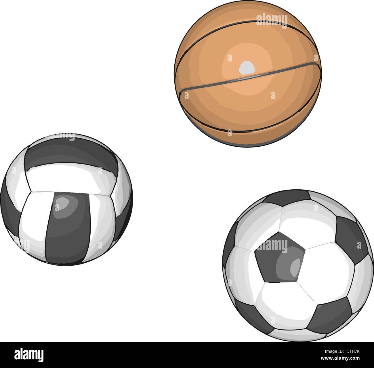 Le sfere per vari sport illustrazione vettoriale su sfondo bianco Illustrazione Vettoriale