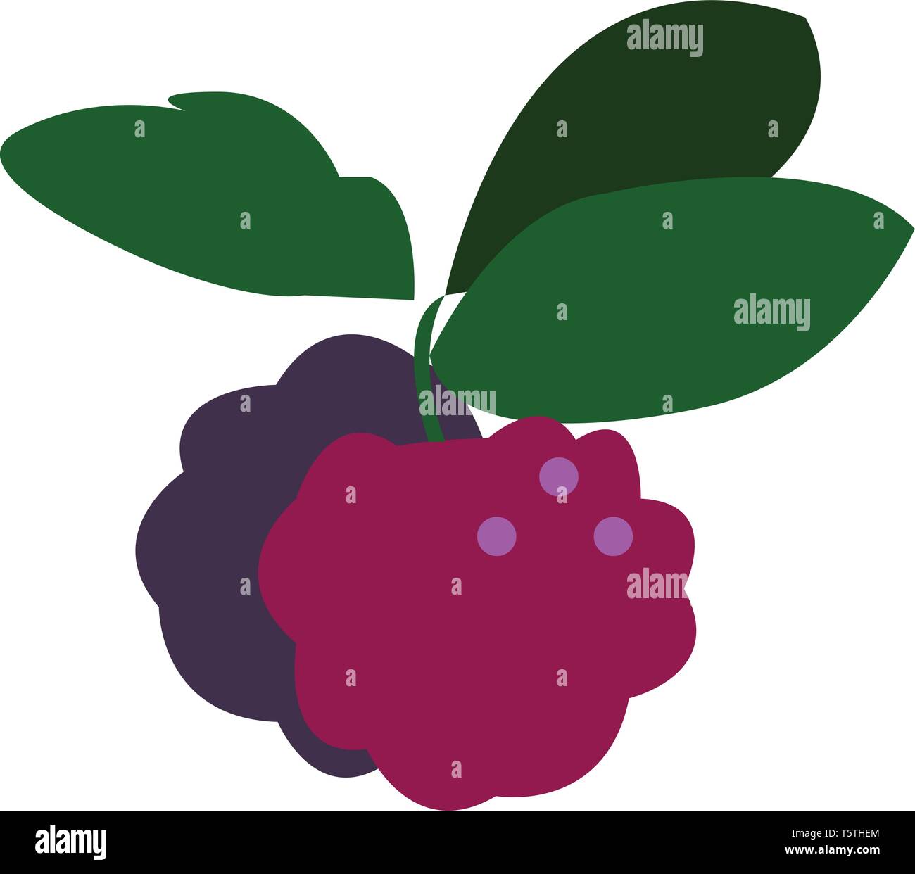 Una coppia di bacche con un mucchio di foglie verdi di vettore di disegno a colori o illustrazione Illustrazione Vettoriale