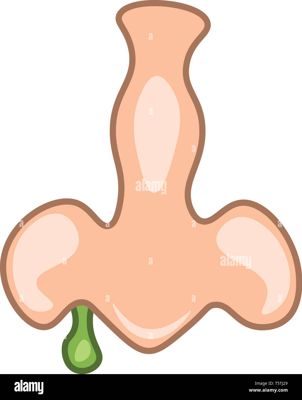 Una immagine di un naso con il muco verde in uscita del vettore è il colore di disegno o illustrazione Illustrazione Vettoriale