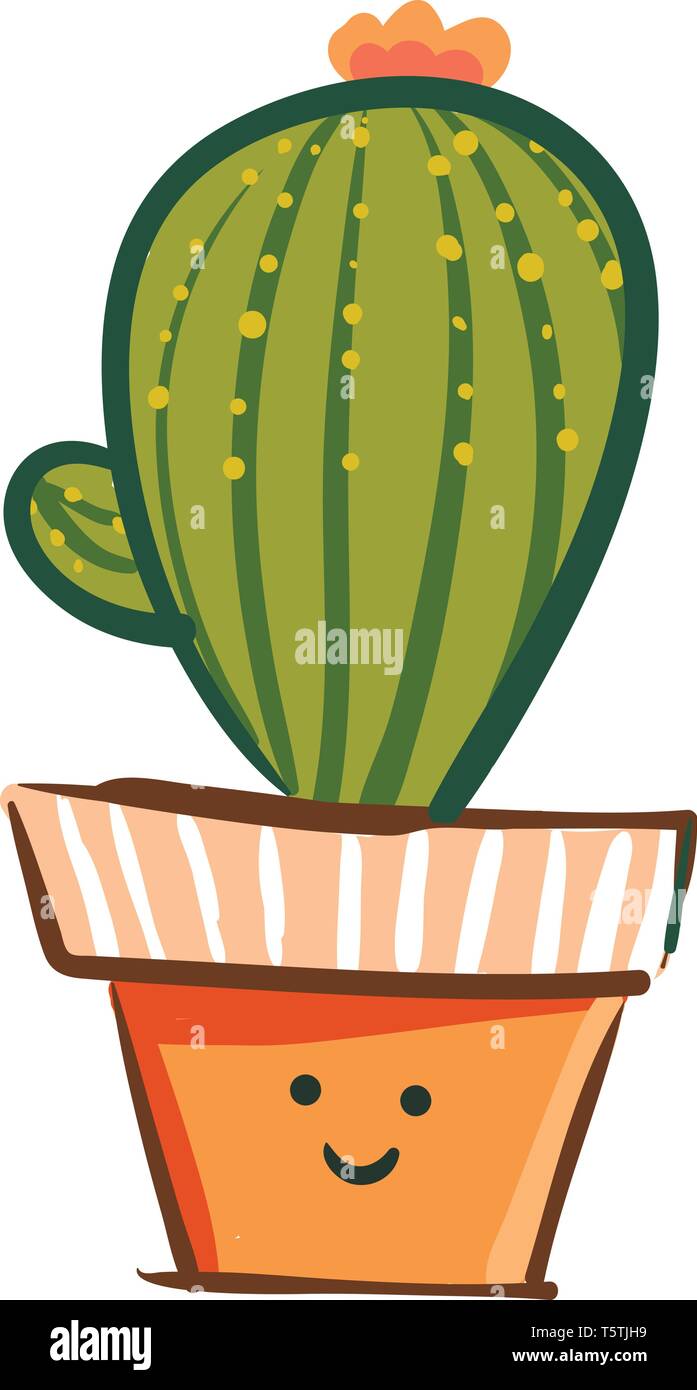 Vivace cactus per interni o vettore di Illustrazione a colori Illustrazione Vettoriale