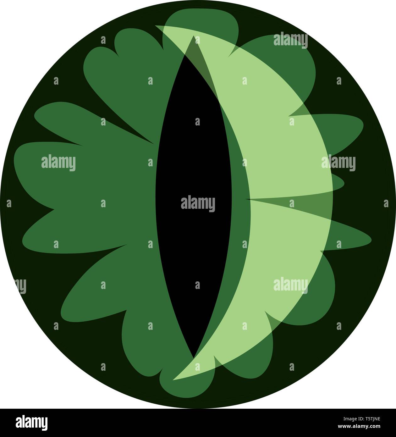 Un occhio di gatto vettore della pupilla o illustrazione a colori Illustrazione Vettoriale