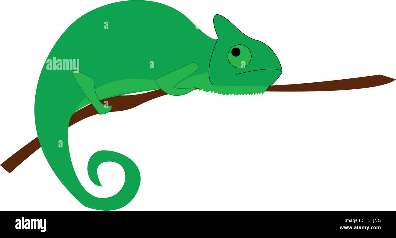 Un grande verde camaleonte o vettore di Illustrazione a colori Illustrazione Vettoriale