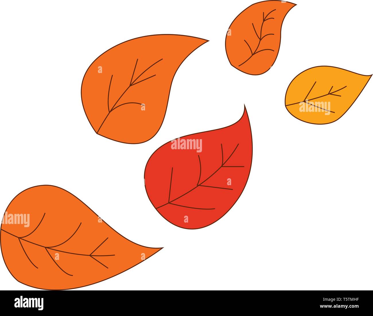 Colorato Foglie di autunno illustrazione vettoriale su sfondo bianco Illustrazione Vettoriale