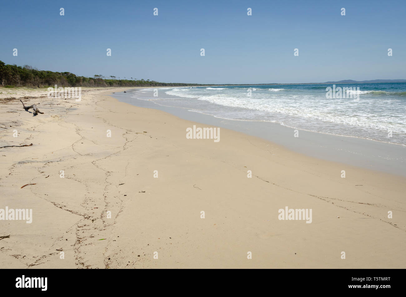 Shark Bay, vicino Iluka, Nuovo Galles del Sud, Australia Foto Stock