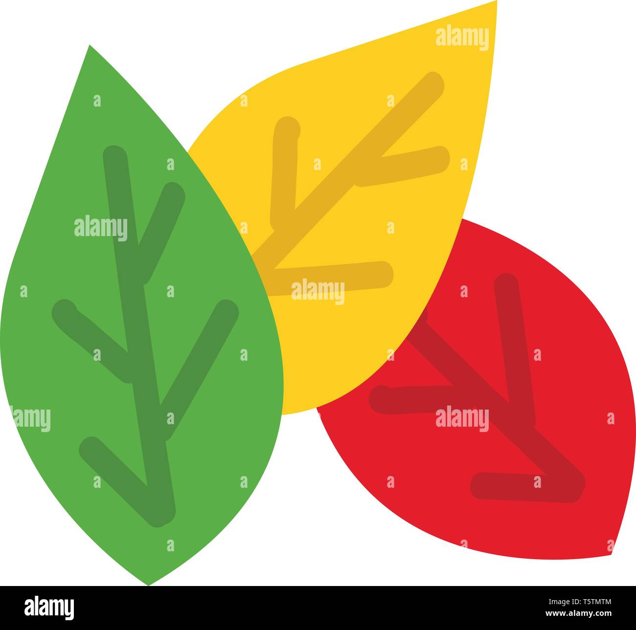 Colore diverso vettore leafesillustration su sfondo bianco Illustrazione Vettoriale