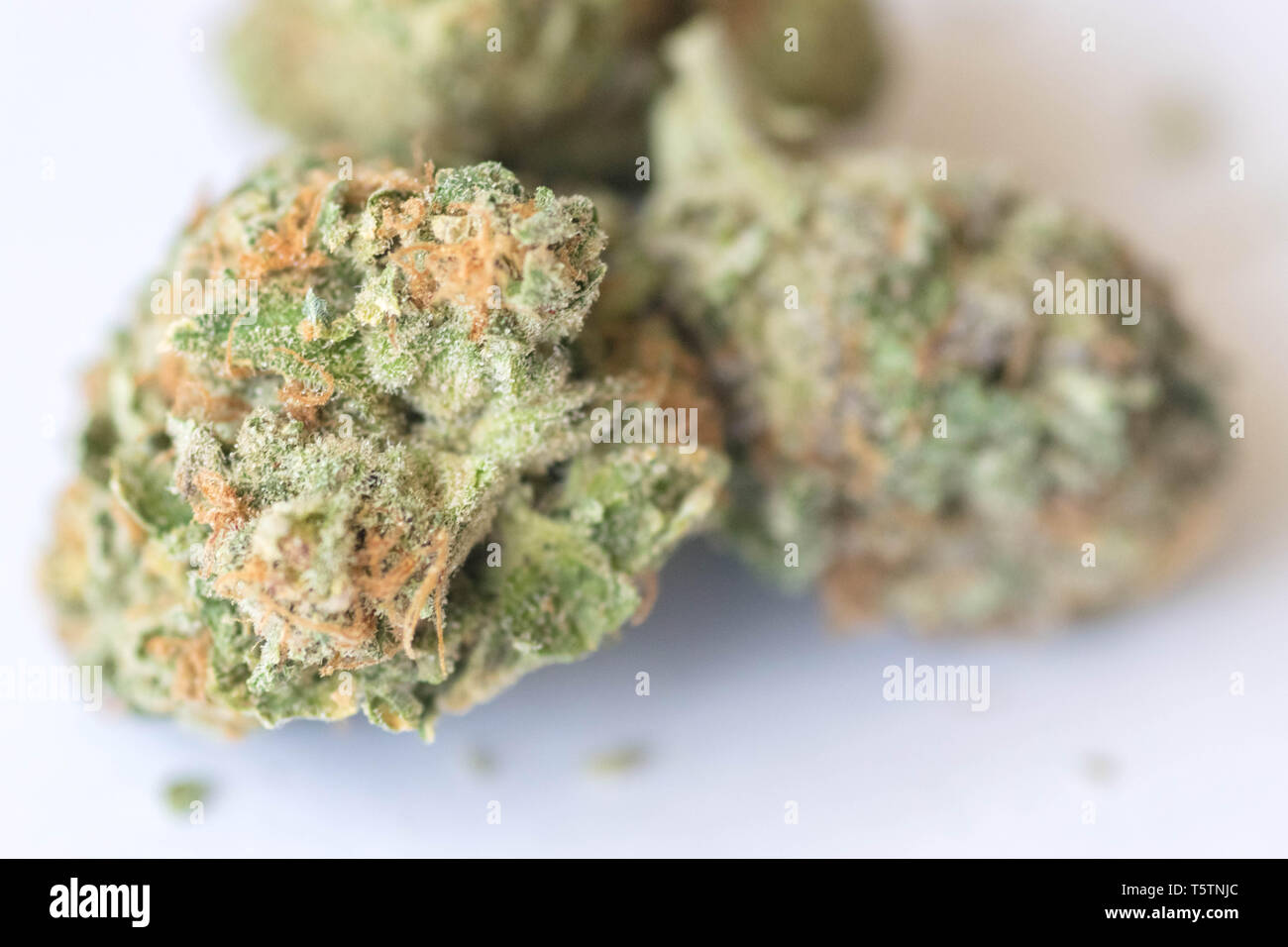 La marijuana, cannabis medica, medicina, impianto, prescrizione, Bud, naturale, sfondo, fiore, medicinali, leaf, isolata, THC, erbacce, pot, erbe, farmaco, Foto Stock