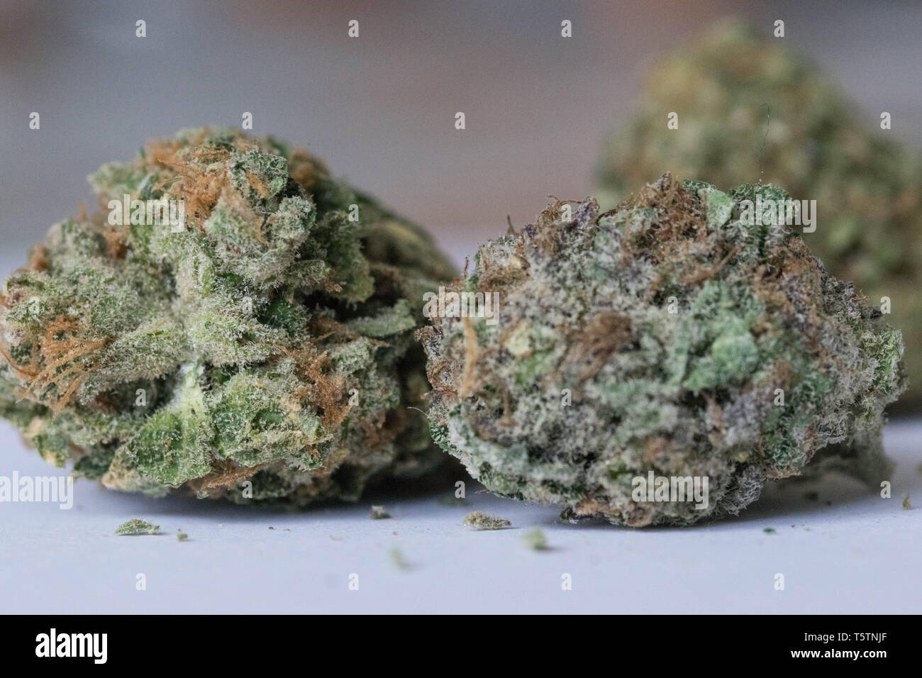 La marijuana, cannabis medica, medicina, impianto, prescrizione, Bud, naturale, sfondo, fiore, medicinali, leaf, isolata, THC, erbacce, pot, erbe, farmaco, Foto Stock