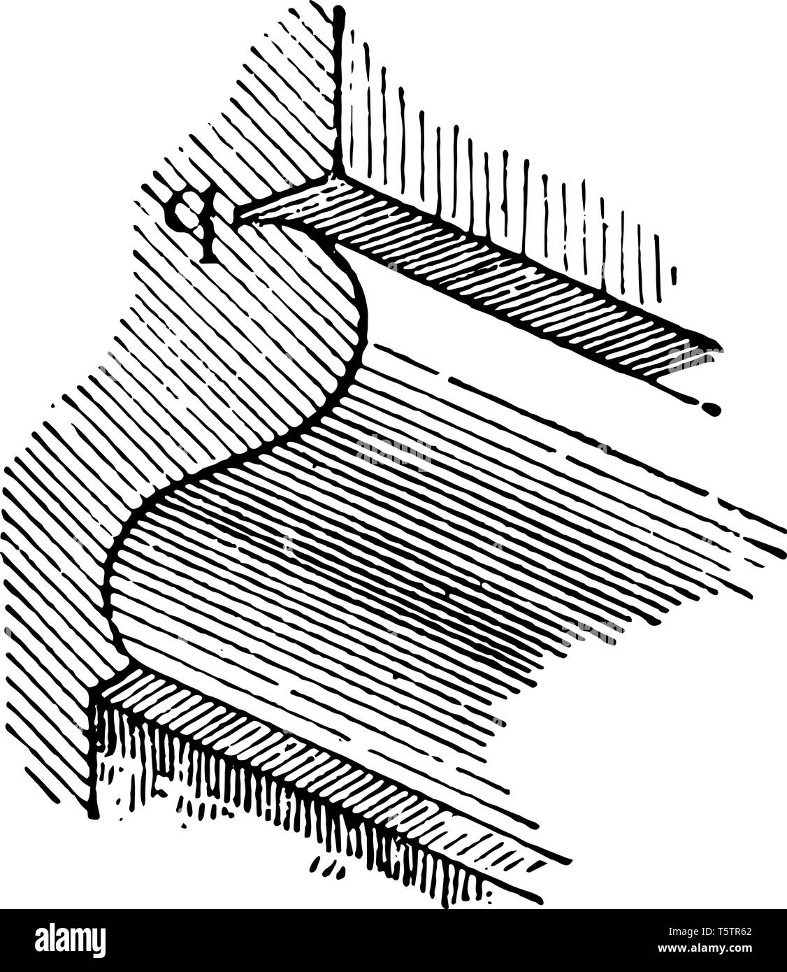 Quirk stampaggio avente una scanalatura piccola proporzione di finitura per la sua larghezza vintage disegno della linea di incisione o illustrazione. Illustrazione Vettoriale