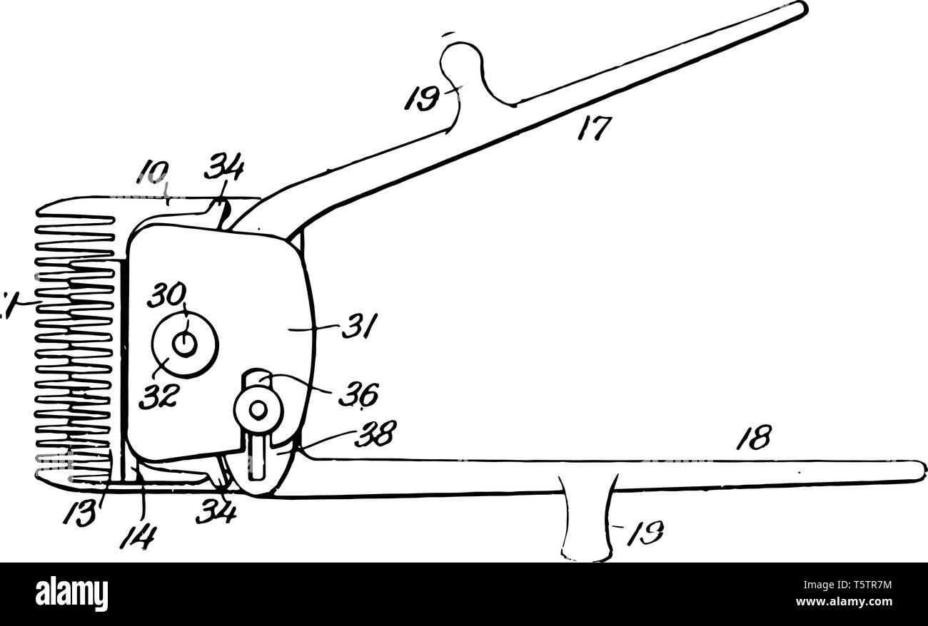 Questa immagine rappresenta il regolacapelli che utilizzate per il taglio di testa umana capelli linea vintage disegno incisione o illustrazione. Illustrazione Vettoriale