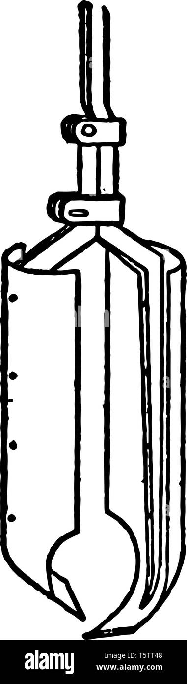 Questa immagine rappresenta la coclea di Pod che è utilizzato per la perforazione vintage disegno della linea di incisione o illustrazione. Illustrazione Vettoriale