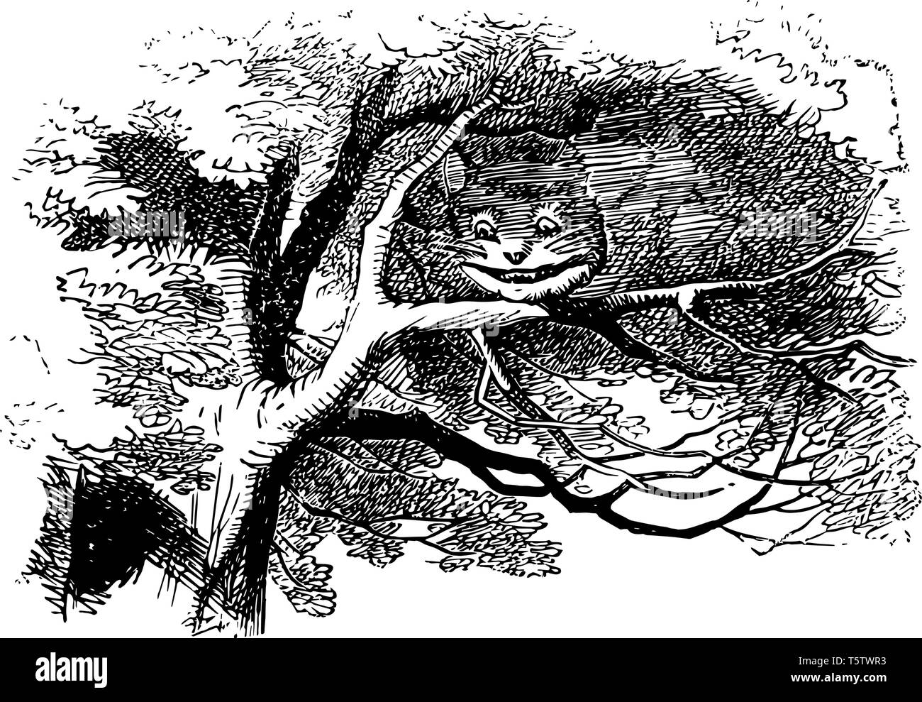 Alice nel Paese delle Meraviglie questa scena mostra cat faccia su rami del grande albero vintage disegno della linea di incisione o illustrazione Illustrazione Vettoriale