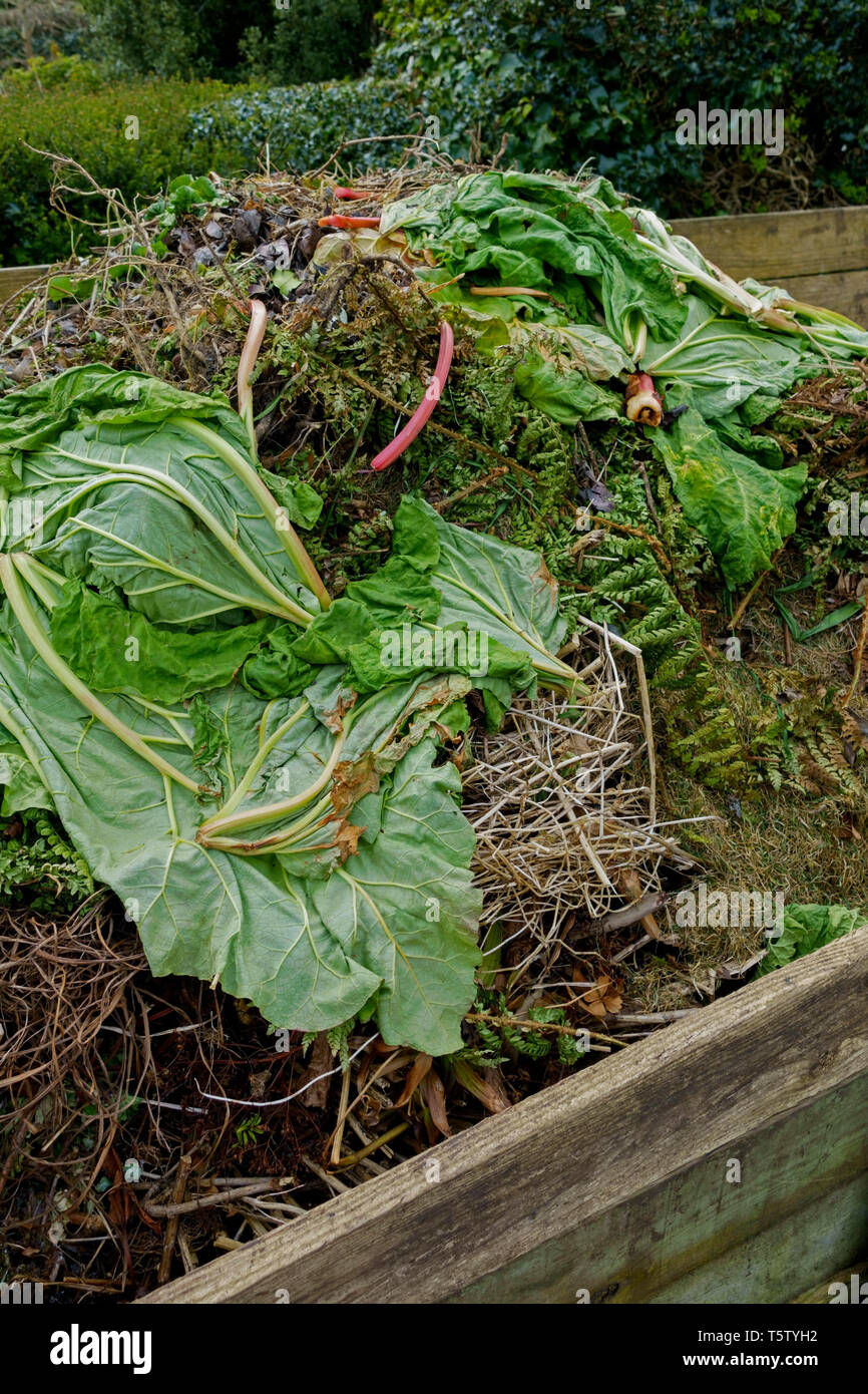 Giardino la putrefazione dei rifiuti in un compost di legno bin. Foto Stock