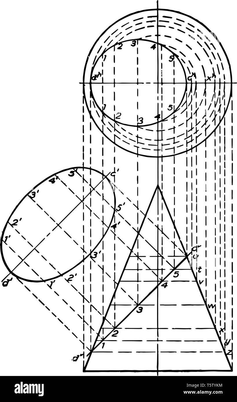 L'immagine comprende i 3 moduli. Tutte le forme collegati tra di loro mediante linee tratteggiate, vintage disegno della linea di incisione o illustrazione. Illustrazione Vettoriale