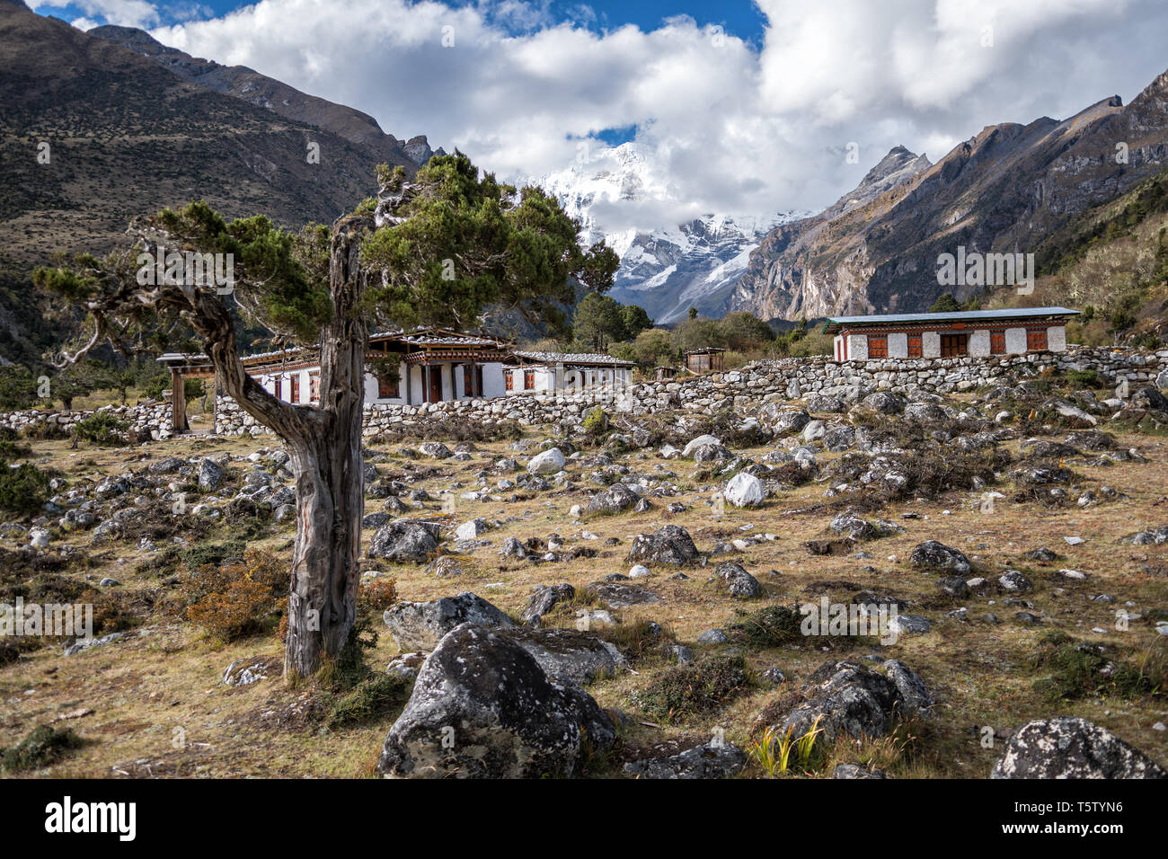 Case isolate tra Lhedi e Chozo, Gasa distretto, Snowman Trek, Bhutan Foto Stock