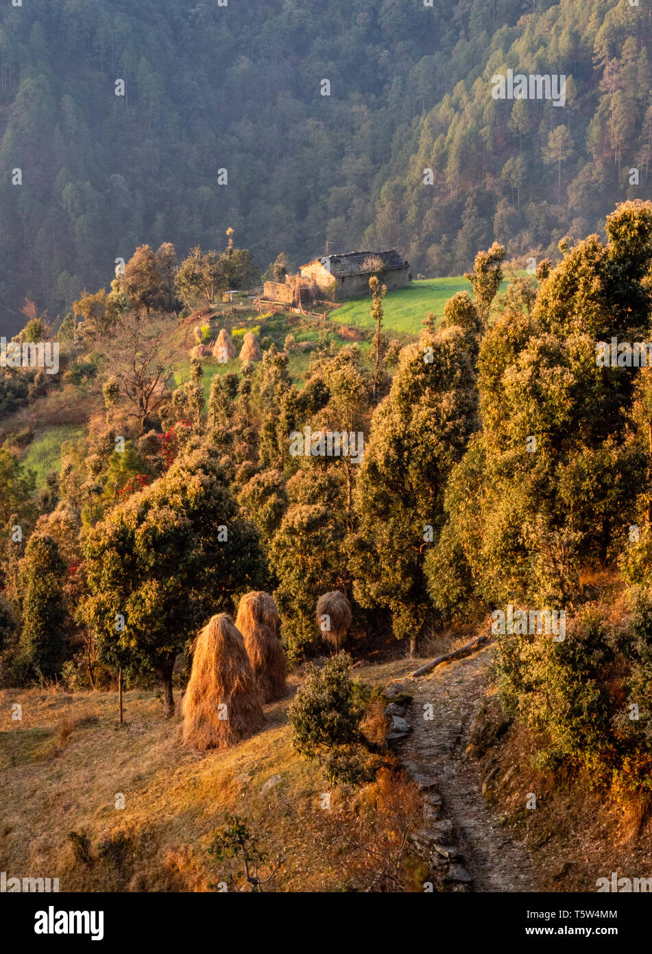 Idilliaco scenario rurale con casa colonica haystacks e boscose pendici della montagna nella Pedemontana himalayana a Gonap in Uttarakhand area Binsar India del Nord Foto Stock