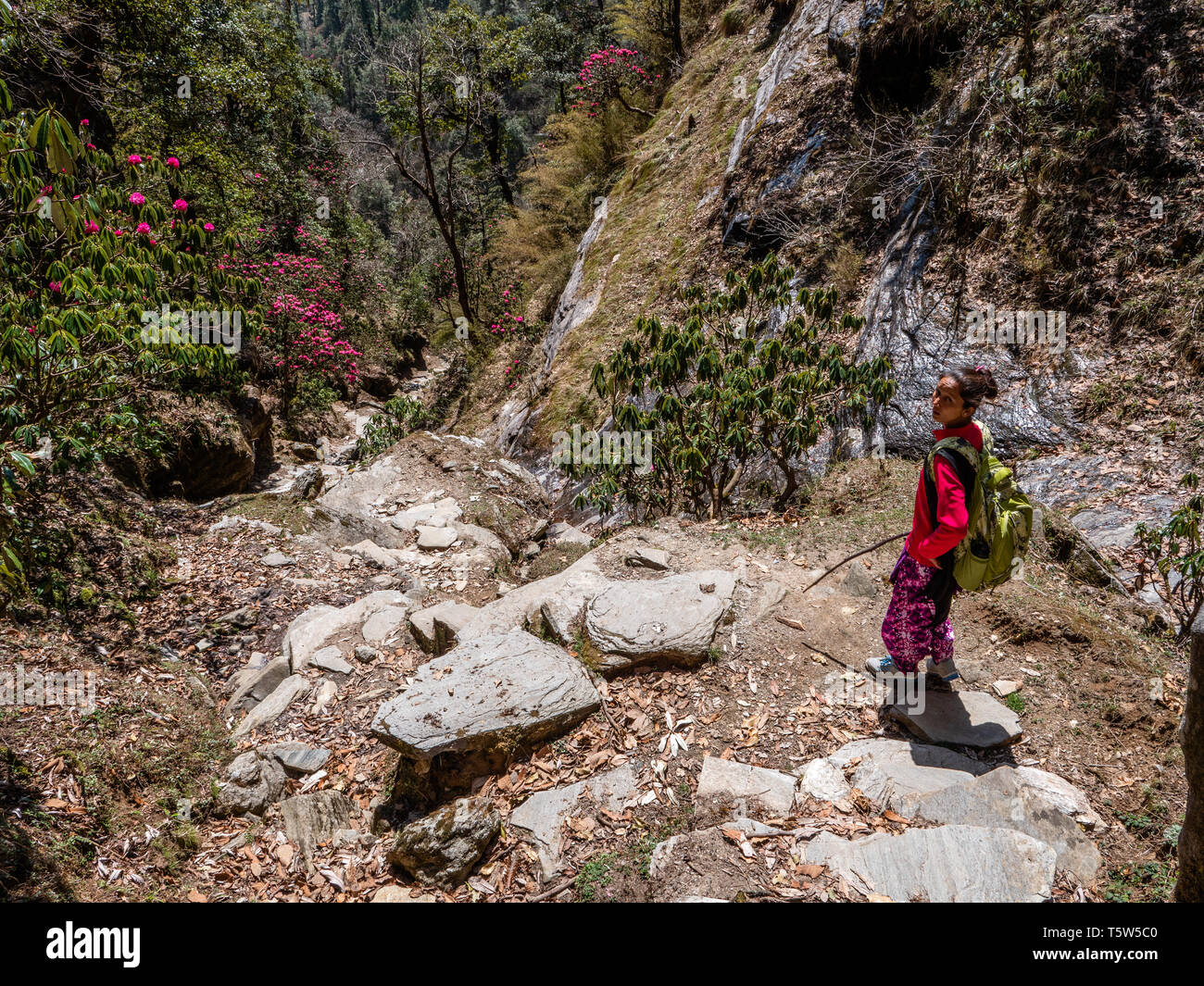Camminando su ripidi sentieri di montagna sopra la valle Saryu in Himalaya di Uttarakhand in India del Nord Foto Stock
