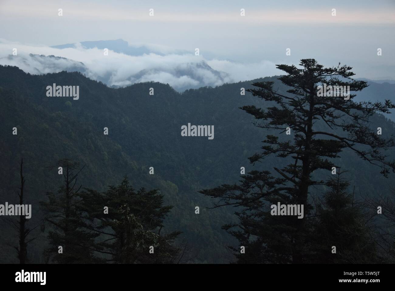 Paesaggio di montagna Emei nella provincia di Sichuan in Cina, uno dei quattro sacra buddista montagne della Cina. Foto Stock