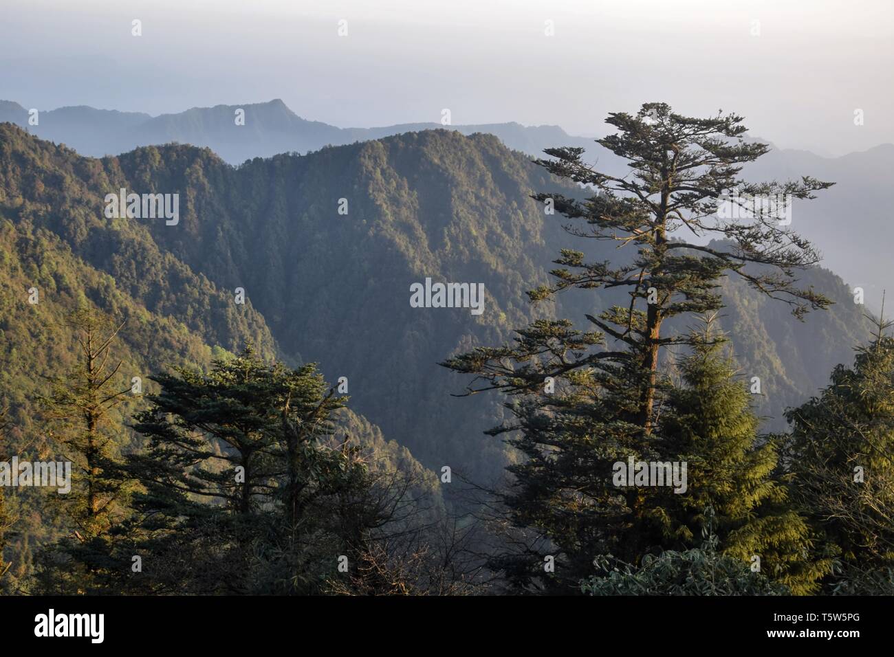 Paesaggio di montagna Emei nella provincia di Sichuan in Cina, uno dei quattro sacra buddista montagne della Cina. Foto Stock