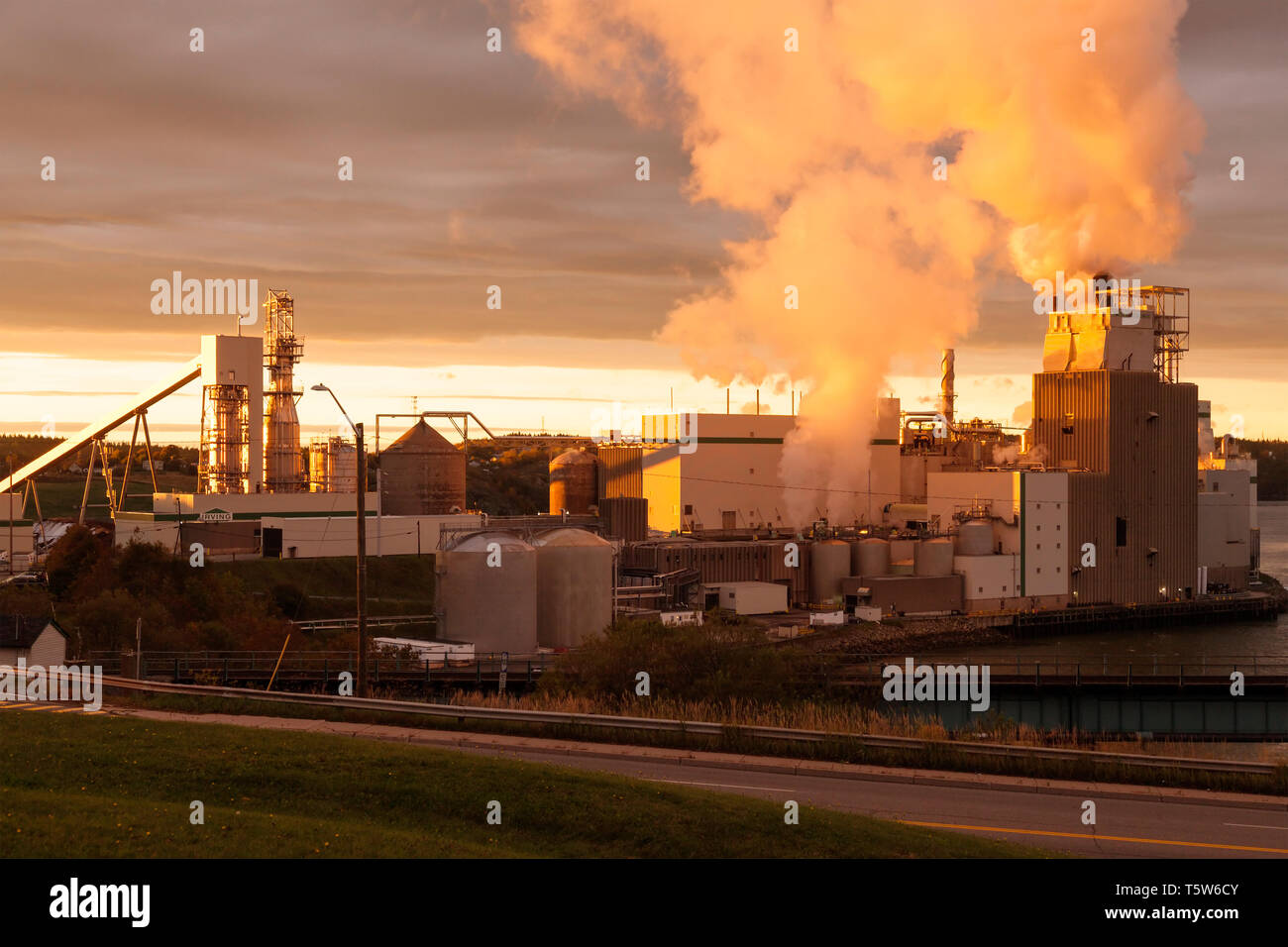 Luce drammatica a Irving Pulp & Paper Limited al tramonto in Saint John, New Brunswick, Canada. Foto Stock