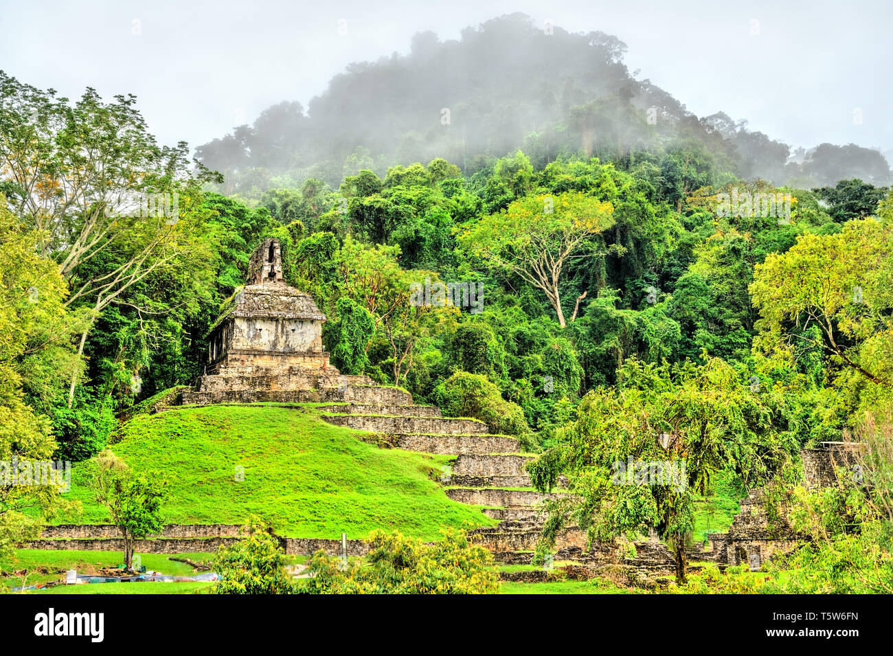 Rovine di Palenque in Chiapas, Messico Foto Stock