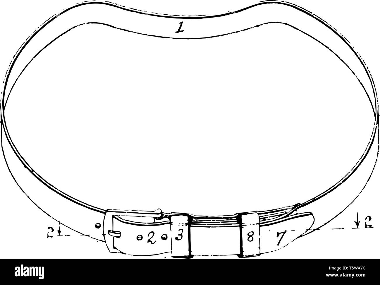 Cinghia di abbigliamento sono usurate attorno alla cintura per sostenere capi di abbigliamento vintage disegno della linea di incisione o illustrazione. Illustrazione Vettoriale