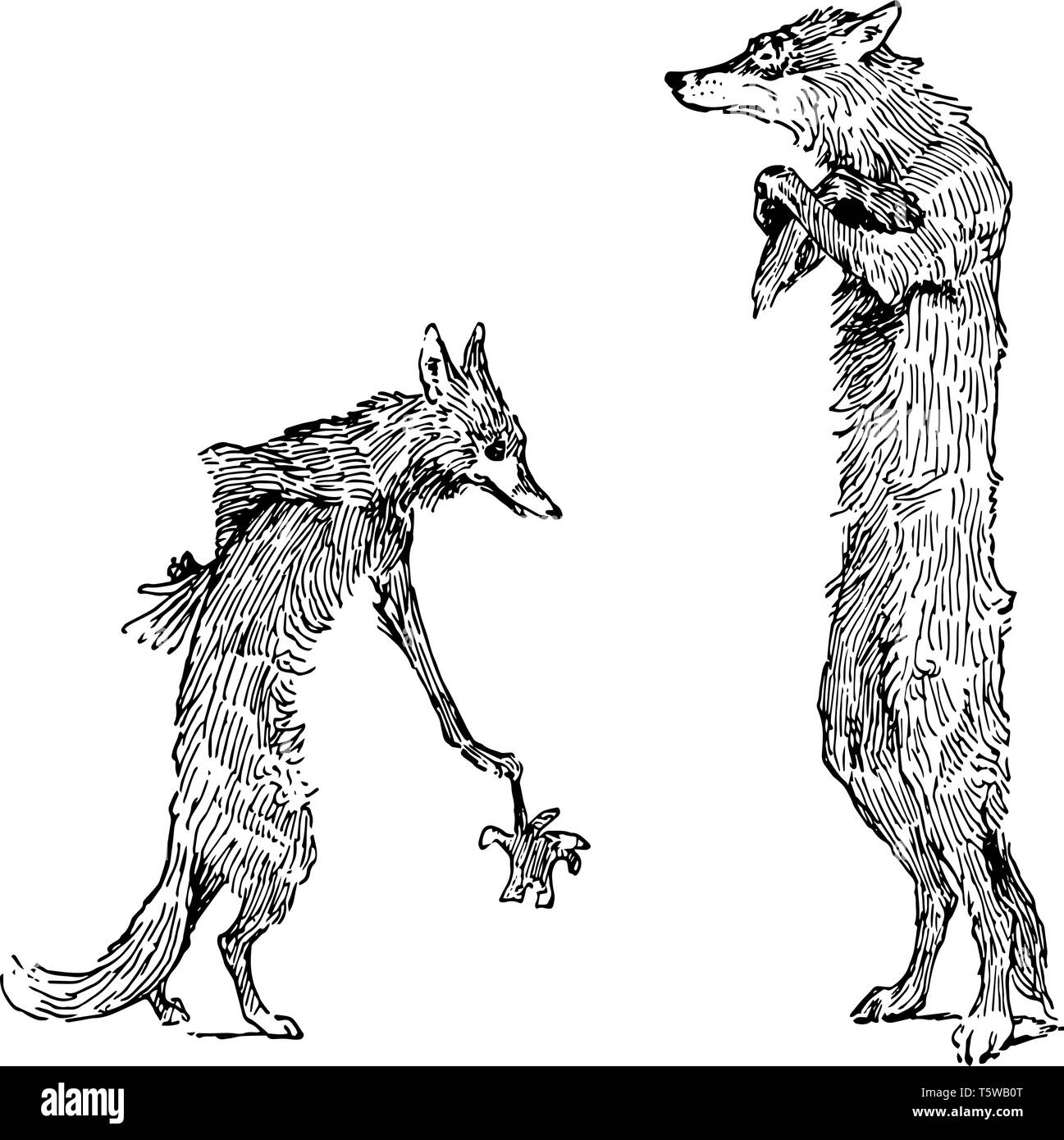 Reynard the Fox: Isegrims sfida questa scena mostra il lupo guanto di contenimento e la volpe in piedi di fronte a lui vintage disegno della linea di incisione o malato Illustrazione Vettoriale