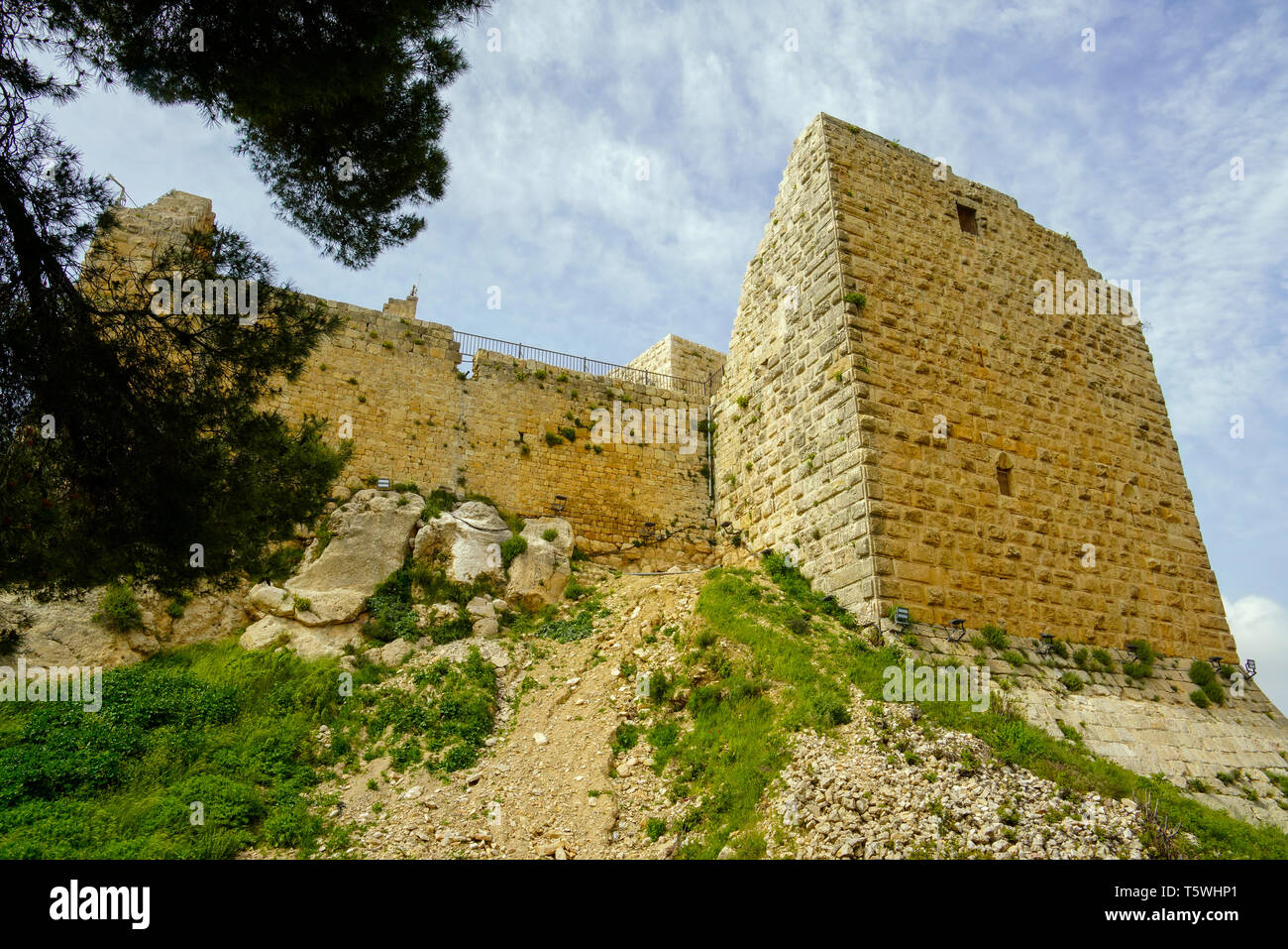 Vista del castello di Ajloun nel nord-ovest della Giordania. Importante fort per arabi e i crociati. Foto Stock