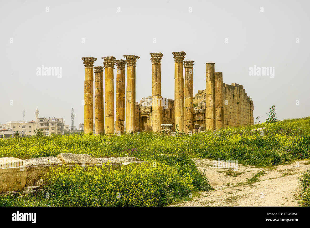 Tempio di Artemide, Jerash sito archeologico, Giordania. Foto Stock