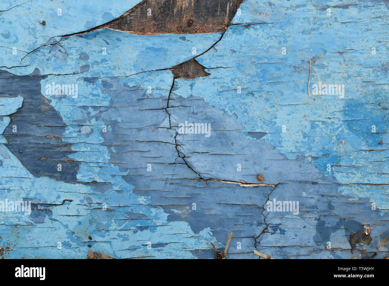 Il marcio incrinato superficie di legno con scaglie di vernice blu. Abstract background. Foto Stock