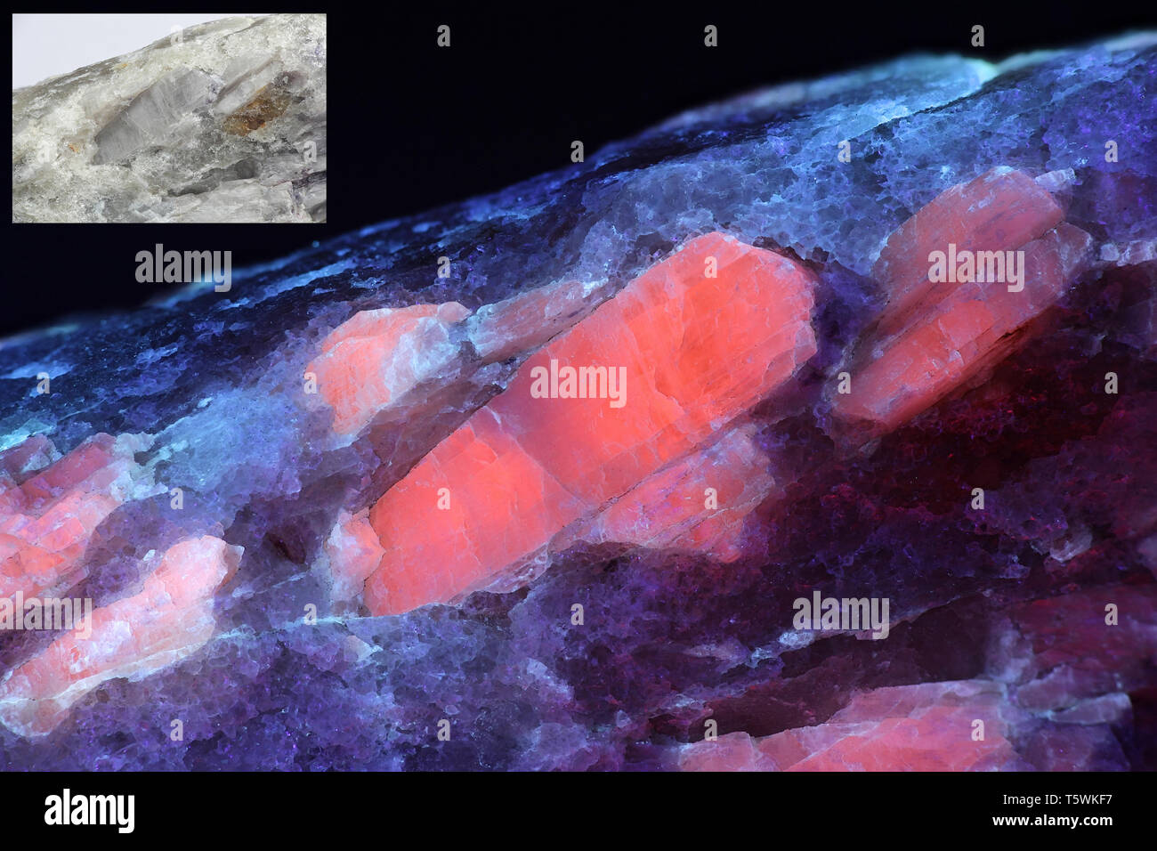 Cristalli di grandi industriali di minerale di litio spodumene mostranti fluorescenza rossa in luce ultravioletta (365 nm). Immagine di piccole dimensioni sullo stesso campione in condizioni normali di luce. Foto Stock