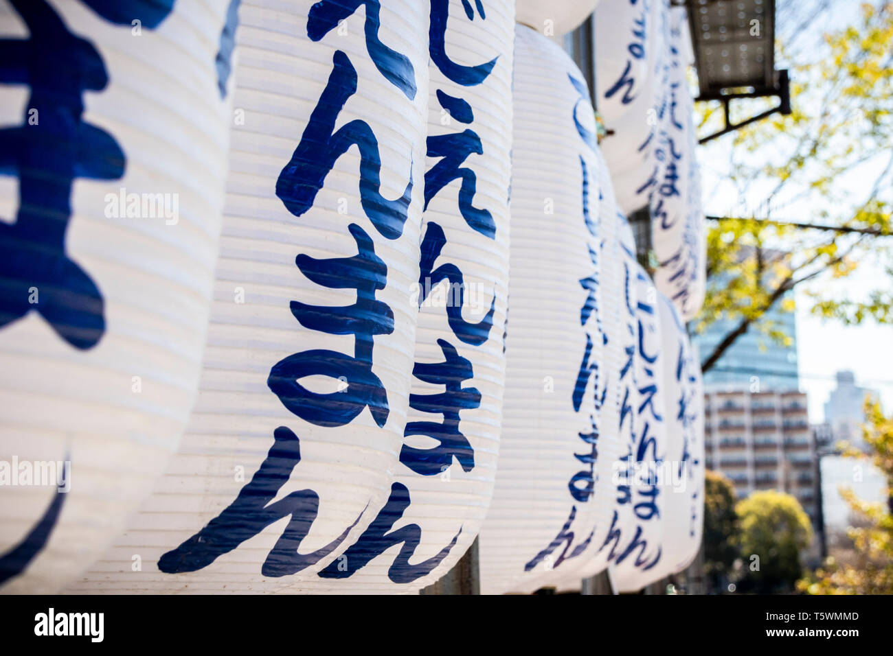 Lanterne giapponese di Tokyo. Foto Stock