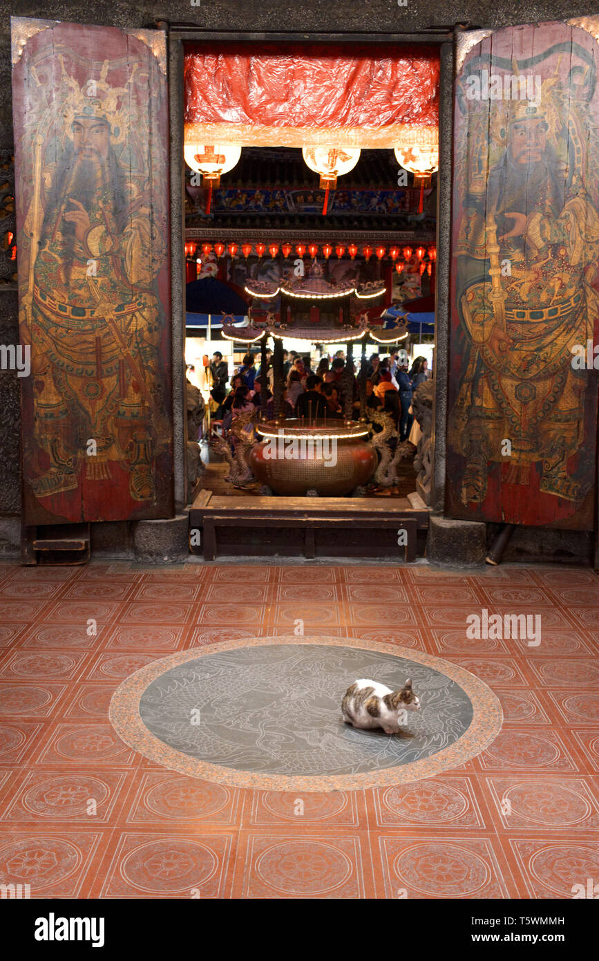 Gatto nel tempio di Taiwan Foto Stock