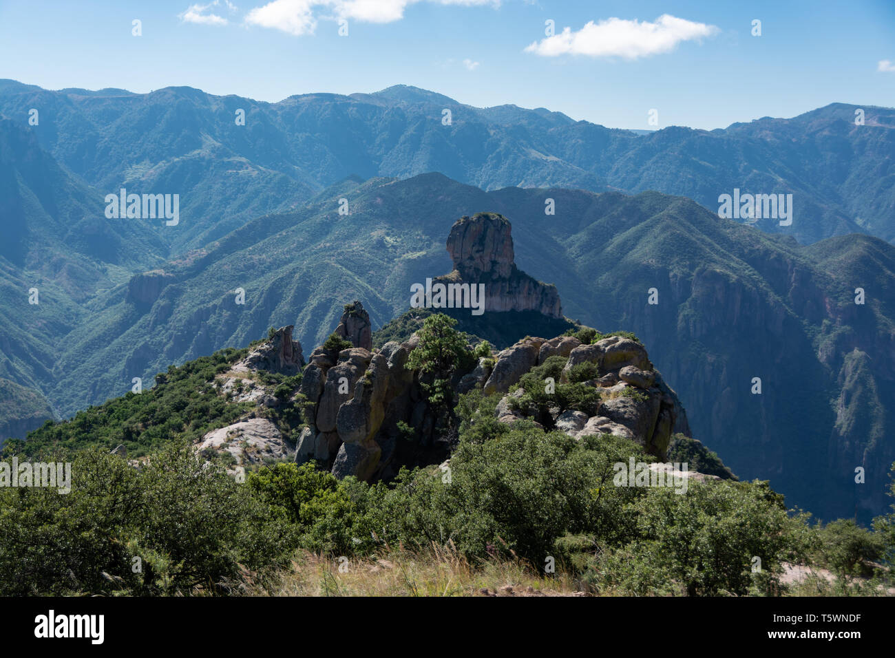 Il viaggio in treno 'El Chepe' Chihuahua, Messico Foto Stock