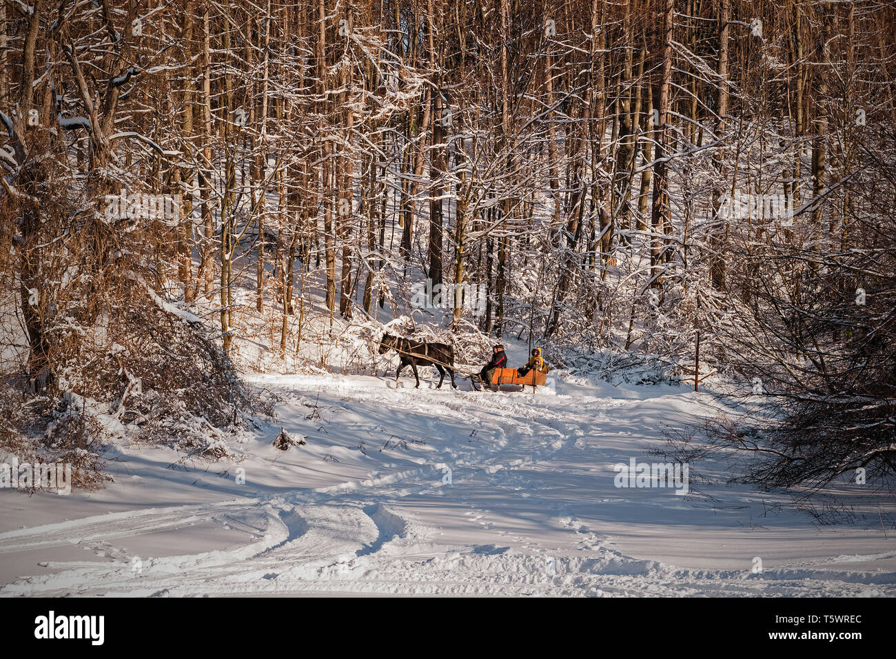La Bükk parco nazionale in Ungheria Foto Stock