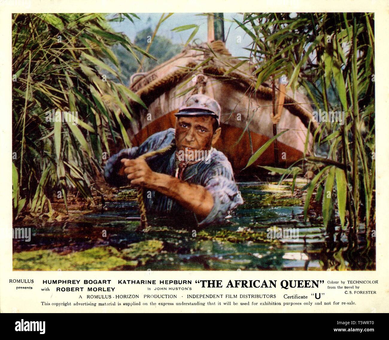 Humphrey Bogart The African Queen 1951 direttore John Huston romanzo di C.S. Forester Romolo Film Horizon / Foto / Film indipendente distributori ( IFD ) Foto Stock