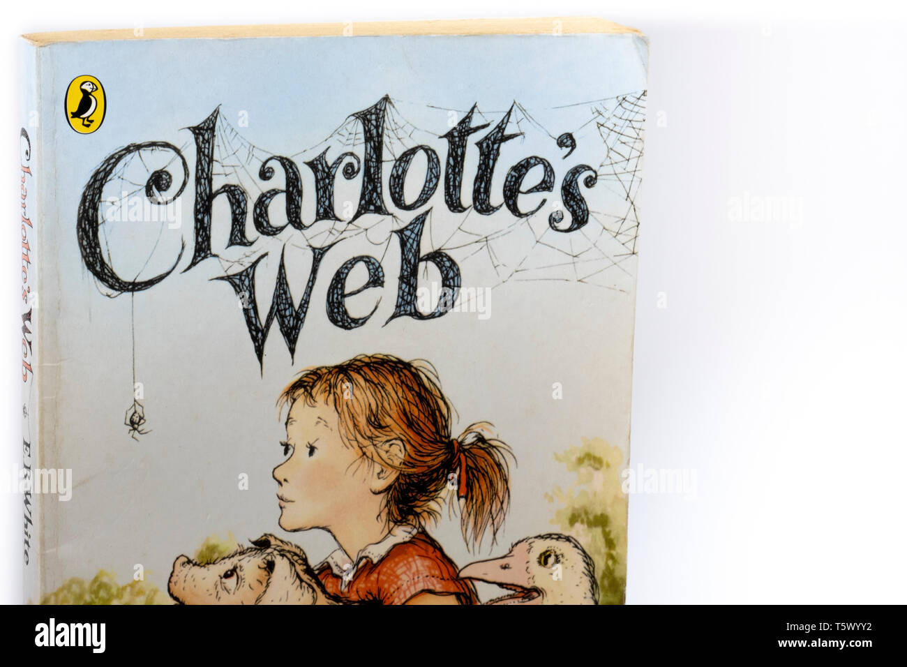 Chiudere l immagine di Charlottes Web dal Libro bianco EB Foto Stock