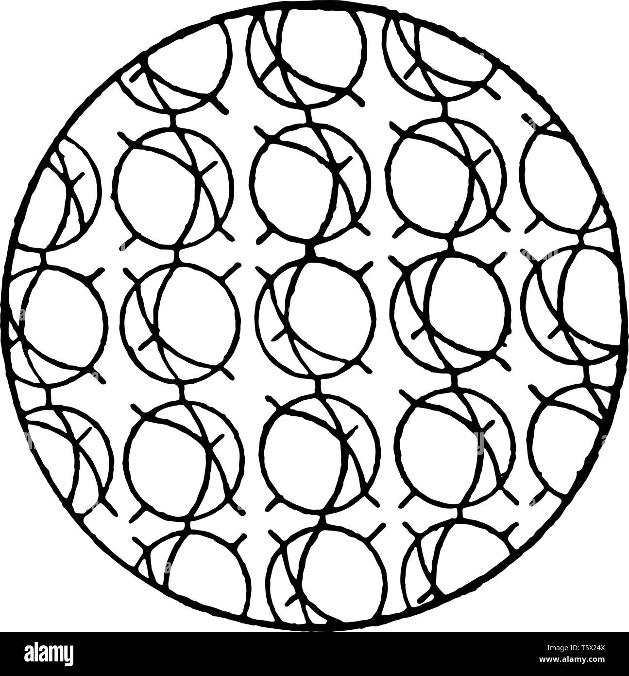 Questo schema rappresenta l'orientamento parziale di molecole in un solido, vintage disegno della linea di incisione o illustrazione. Illustrazione Vettoriale