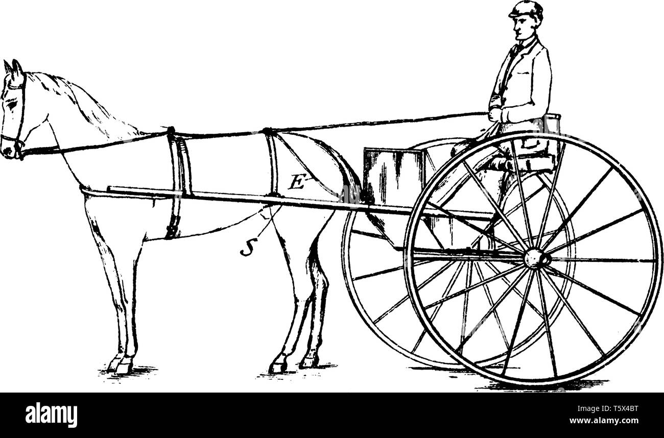 Briglia di sicurezza collegato Rein è indossato da cavalli che stanno per essere addomesticati, vintage disegno della linea di incisione o illustrazione. Illustrazione Vettoriale
