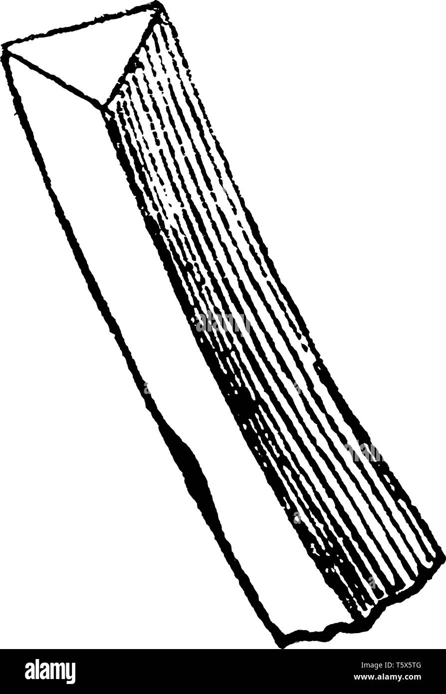 Una foto mostra un gambo triangolare noto anche come tre-monopolizzato il porro di Allium Triquetrum impianto, vintage disegno della linea di incisione o illustrazione. Illustrazione Vettoriale