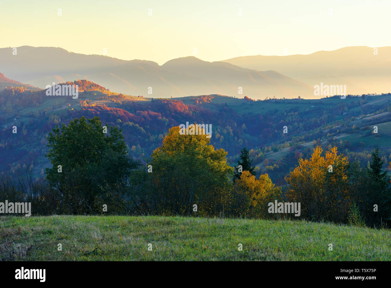 Meraviglioso paesaggio autunnale all'alba. bellissimo paesaggio di campagna in montagna. alberi a foglie colorate. area rurale dei Carpazi. distante ridge mi Foto Stock
