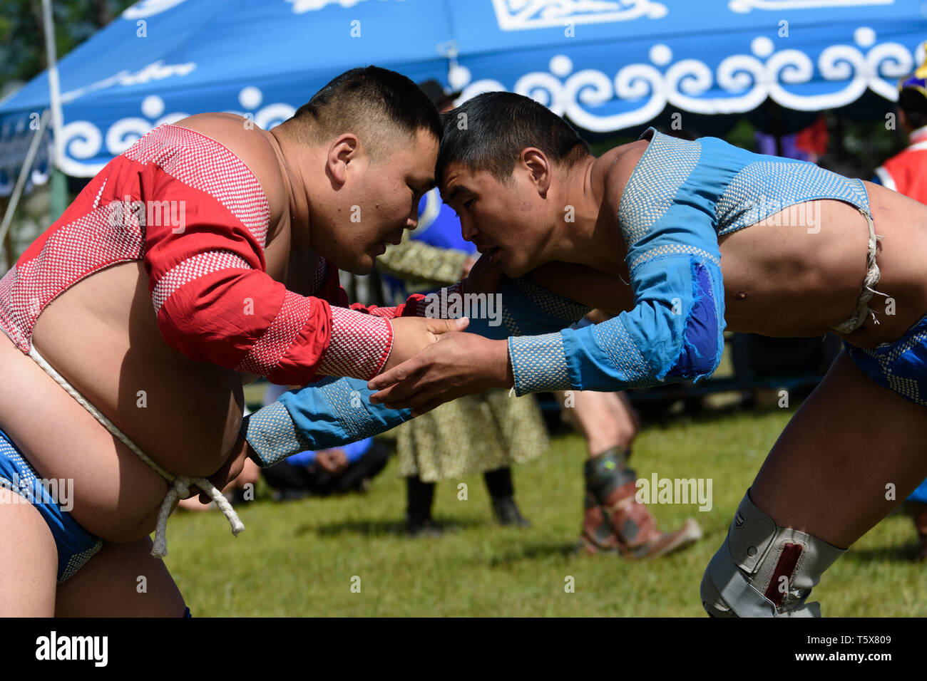 Naadam Festival in Khatgal, Mongolia. Concorso di wrestling Foto Stock