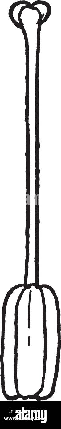 L'immagine femminile di organo riproduttivo di un fiore di giglio. Questa parte denominata come pistillo, vintage disegno della linea di incisione o illustrazione. Illustrazione Vettoriale