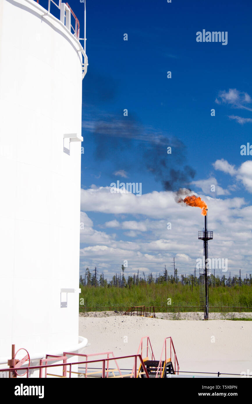 Industria petrolifera e del gas. Il lavoro della pompa olio jack su un campo petrolifero.. La combustione di gas su di un impianto petrolchimico Foto Stock