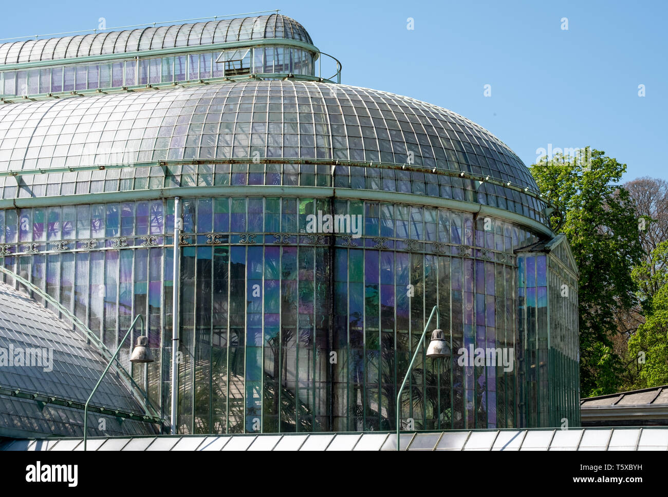 Bruxelles, Belgio: Le Serre Reali di Laeken, composta da un certo numero di serre e includono il Teatro Serra e serra Maquet. Foto Stock